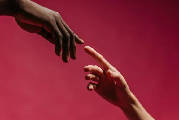 كازينو ريد كينغز الدعم